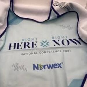 Norwex Window Cloth